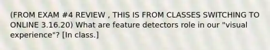 (FROM EXAM #4 REVIEW , THIS IS FROM CLASSES SWITCHING TO ONLINE 3.16.20) What are feature detectors role in our "visual experience"? [In class.]