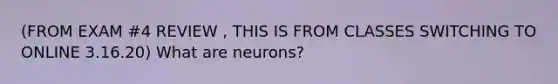 (FROM EXAM #4 REVIEW , THIS IS FROM CLASSES SWITCHING TO ONLINE 3.16.20) What are neurons?