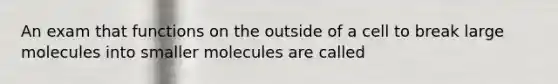 An exam that functions on the outside of a cell to break large molecules into smaller molecules are called