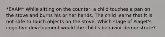 *EXAM* While sitting on the counter, a child touches a pan on the stove and burns his or her hands. The child learns that it is not safe to touch objects on the stove. Which stage of Piaget's cognitive development would the child's behavior demonstrate?