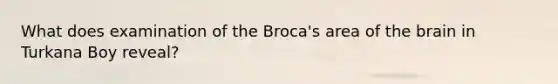 What does examination of the Broca's area of the brain in Turkana Boy reveal?