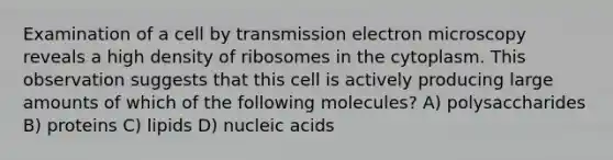 Examination of a cell by transmission electron microscopy reveals a high density of ribosomes in the cytoplasm. This observation suggests that this cell is actively producing large amounts of which of the following molecules? A) polysaccharides B) proteins C) lipids D) nucleic acids