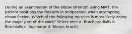 During an examination of the elbow strength using MMT, the patient positions the forearm in midposition when attempting elbow flexion. Which of the following muscles is most likely doing the major part of the work? Select one: a. Brachioradialis b. Brachialis c. Supinator d. Biceps brachii