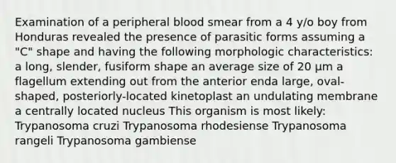 Examination of a peripheral blood smear from a 4 y/o boy from Honduras revealed the presence of parasitic forms assuming a "C" shape and having the following morphologic characteristics: a long, slender, fusiform shape an average size of 20 µm a flagellum extending out from the anterior enda large, oval-shaped, posteriorly-located kinetoplast an undulating membrane a centrally located nucleus This organism is most likely: Trypanosoma cruzi Trypanosoma rhodesiense Trypanosoma rangeli Trypanosoma gambiense