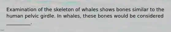 Examination of the skeleton of whales shows bones similar to the human pelvic girdle. In whales, these bones would be considered __________.