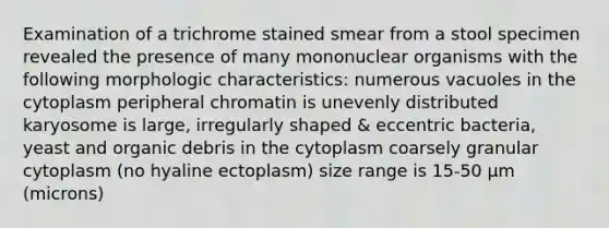 Examination of a trichrome stained smear from a stool specimen revealed the presence of many mononuclear organisms with the following morphologic characteristics: numerous vacuoles in the cytoplasm peripheral chromatin is unevenly distributed karyosome is large, irregularly shaped & eccentric bacteria, yeast and organic debris in the cytoplasm coarsely granular cytoplasm (no hyaline ectoplasm) size range is 15-50 µm (microns)