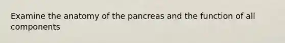 Examine the anatomy of the pancreas and the function of all components