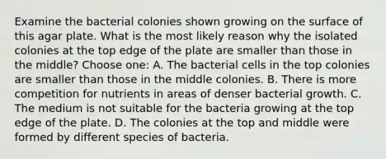 Examine the bacterial colonies shown growing on the surface of this agar plate. What is the most likely reason why the isolated colonies at the top edge of the plate are smaller than those in the middle? Choose one: A. The bacterial cells in the top colonies are smaller than those in the middle colonies. B. There is more competition for nutrients in areas of denser bacterial growth. C. The medium is not suitable for the bacteria growing at the top edge of the plate. D. The colonies at the top and middle were formed by different species of bacteria.