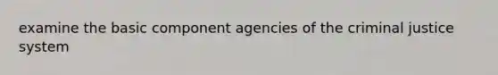 examine the basic component agencies of the criminal justice system