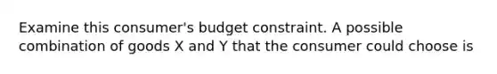 Examine this consumer's budget constraint. A possible combination of goods X and Y that the consumer could choose is