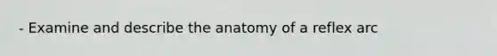 - Examine and describe the anatomy of a reflex arc