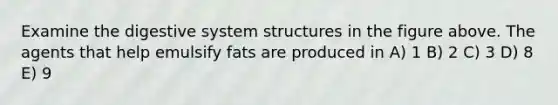 Examine the digestive system structures in the figure above. The agents that help emulsify fats are produced in A) 1 B) 2 C) 3 D) 8 E) 9