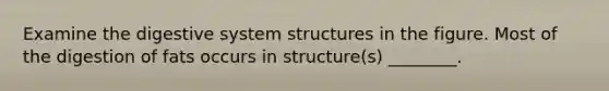 Examine the digestive system structures in the figure. Most of the digestion of fats occurs in structure(s) ________.