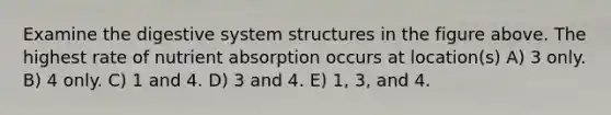 Examine the digestive system structures in the figure above. The highest rate of nutrient absorption occurs at location(s) A) 3 only. B) 4 only. C) 1 and 4. D) 3 and 4. E) 1, 3, and 4.