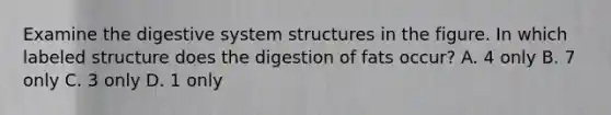 Examine the digestive system structures in the figure. In which labeled structure does the digestion of fats occur? A. 4 only B. 7 only C. 3 only D. 1 only