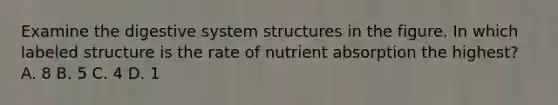 Examine the digestive system structures in the figure. In which labeled structure is the rate of nutrient absorption the highest? A. 8 B. 5 C. 4 D. 1