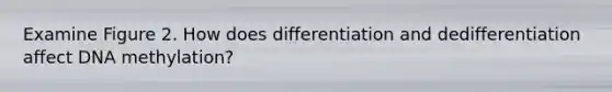 Examine Figure 2. How does differentiation and dedifferentiation affect DNA methylation?