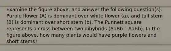 Examine the figure above, and answer the following question(s). Purple flower (A) is dominant over white flower (a), and tall stem (B) is dominant over short stem (b). The Punnett square represents a cross between two dihybrids (AaBb ´ AaBb). In the figure above, how many plants would have purple flowers and short stems?