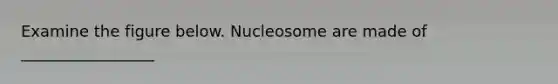 Examine the figure below. Nucleosome are made of _________________