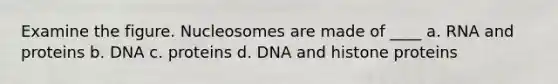 Examine the figure. Nucleosomes are made of ____ a. RNA and proteins b. DNA c. proteins d. DNA and histone proteins