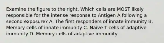 Examine the figure to the right. Which cells are MOST likely responsible for the intense response to Antigen A following a second exposure? A. The first responders of innate immunity B. Memory cells of innate immunity C. Naive T cells of adaptive immunity D. Memory cells of adaptive immunity