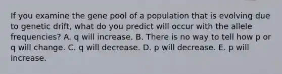 If you examine the gene pool of a population that is evolving due to genetic drift, what do you predict will occur with the allele frequencies? A. q will increase. B. There is no way to tell how p or q will change. C. q will decrease. D. p will decrease. E. p will increase.