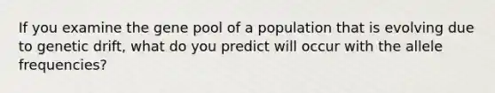 If you examine the gene pool of a population that is evolving due to genetic drift, what do you predict will occur with the allele frequencies?