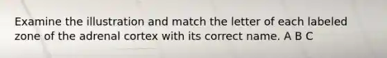 Examine the illustration and match the letter of each labeled zone of the adrenal cortex with its correct name. A B C