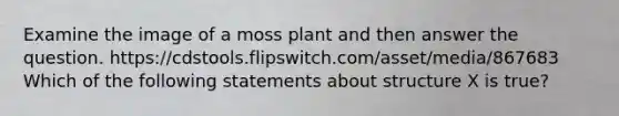 Examine the image of a moss plant and then answer the question. https://cdstools.flipswitch.com/asset/media/867683 Which of the following statements about structure X is true?