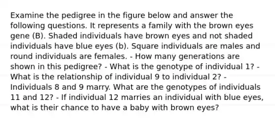 Examine the pedigree in the figure below and answer the following questions. It represents a family with the brown eyes gene (B). Shaded individuals have brown eyes and not shaded individuals have blue eyes (b). Square individuals are males and round individuals are females. - How many generations are shown in this pedigree? - What is the genotype of individual 1? - What is the relationship of individual 9 to individual 2? - Individuals 8 and 9 marry. What are the genotypes of individuals 11 and 12? - If individual 12 marries an individual with blue eyes, what is their chance to have a baby with brown eyes?