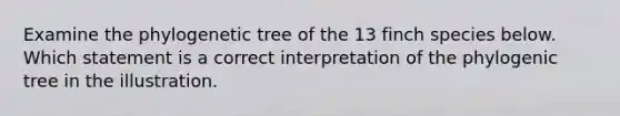 Examine the phylogenetic tree of the 13 finch species below. Which statement is a correct interpretation of the phylogenic tree in the illustration.