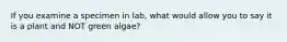 If you examine a specimen in lab, what would allow you to say it is a plant and NOT green algae?