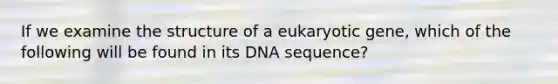 If we examine the structure of a eukaryotic gene, which of the following will be found in its DNA sequence?