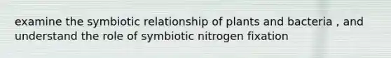 examine the symbiotic relationship of plants and bacteria , and understand the role of symbiotic nitrogen fixation