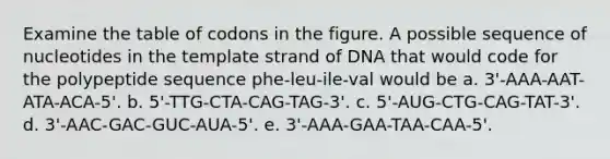 Examine the table of codons in the figure. A possible sequence of nucleotides in the template strand of DNA that would code for the polypeptide sequence phe-leu-ile-val would be a. 3'-AAA-AAT-ATA-ACA-5'. b. 5'-TTG-CTA-CAG-TAG-3'. c. 5'-AUG-CTG-CAG-TAT-3'. d. 3'-AAC-GAC-GUC-AUA-5'. e. 3'-AAA-GAA-TAA-CAA-5'.