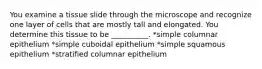 You examine a tissue slide through the microscope and recognize one layer of cells that are mostly tall and elongated. You determine this tissue to be __________. *simple columnar epithelium *simple cuboidal epithelium *simple squamous epithelium *stratified columnar epithelium