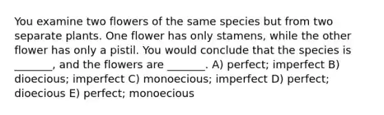 You examine two flowers of the same species but from two separate plants. One flower has only stamens, while the other flower has only a pistil. You would conclude that the species is _______, and the flowers are _______. A) perfect; imperfect B) dioecious; imperfect C) monoecious; imperfect D) perfect; dioecious E) perfect; monoecious