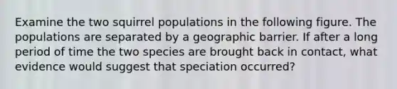 Examine the two squirrel populations in the following figure. The populations are separated by a geographic barrier. If after a long period of time the two species are brought back in contact, what evidence would suggest that speciation occurred?