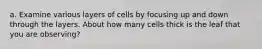 a. Examine various layers of cells by focusing up and down through the layers. About how many cells thick is the leaf that you are observing?