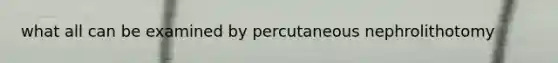 what all can be examined by percutaneous nephrolithotomy