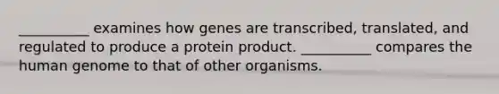 __________ examines how genes are transcribed, translated, and regulated to produce a protein product. __________ compares the human genome to that of other organisms.