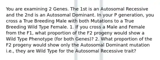 You are examining 2 Genes. The 1st is an Autosomal Recessive and the 2nd is an Autosomal Dominant. In your P generation, you cross a True Breeding Male with both Mutations to a True Breeding Wild Type Female. 1. If you cross a Male and Female from the F1, what proportion of the F2 progeny would show a Wild Type Phenotype (for both Genes)? 2. What proportion of the F2 progeny would show only the Autosomal Dominant mutation i.e., they are Wild Type for the Autosomal Recessive trait?