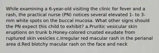 While examining a 6-year-old visiting the clinic for fever and a rash, the practical nurse (PN) notices several elevated 1- to 3-mm white spots on the buccal mucosa. What other signs should the PN expect this child to exhibit? a.Pruritic vesicular skin eruptions on trunk b.Honey-colored crusted exudate from ruptured skin vesicles c.Irregular red macular rash in the perianal area d.Red blotchy macular rash on the face and neck