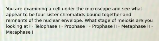 You are examining a cell under the microscope and see what appear to be four sister chromatids bound together and remnants of the nuclear envelope. What stage of meiosis are you looking at? - Telophase I - Prophase I - Prophase II - Metaphase II - Metaphase I