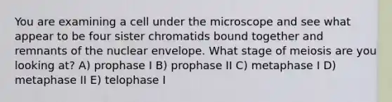 You are examining a cell under the microscope and see what appear to be four sister chromatids bound together and remnants of the nuclear envelope. What stage of meiosis are you looking at? A) prophase I B) prophase II C) metaphase I D) metaphase II E) telophase I