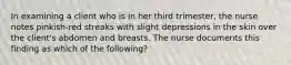 In examining a client who is in her third trimester, the nurse notes pinkish-red streaks with slight depressions in the skin over the client's abdomen and breasts. The nurse documents this finding as which of the following?