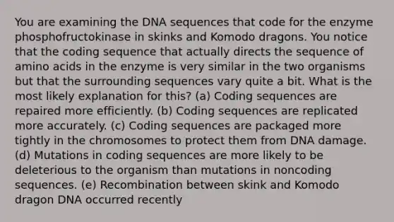 You are examining the DNA sequences that code for the enzyme phosphofructokinase in skinks and Komodo dragons. You notice that the coding sequence that actually directs the sequence of amino acids in the enzyme is very similar in the two organisms but that the surrounding sequences vary quite a bit. What is the most likely explanation for this? (a) Coding sequences are repaired more efficiently. (b) Coding sequences are replicated more accurately. (c) Coding sequences are packaged more tightly in the chromosomes to protect them from DNA damage. (d) Mutations in coding sequences are more likely to be deleterious to the organism than mutations in noncoding sequences. (e) Recombination between skink and Komodo dragon DNA occurred recently