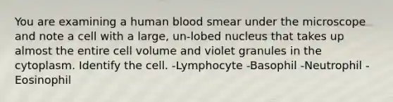 You are examining a human blood smear under the microscope and note a cell with a large, un-lobed nucleus that takes up almost the entire cell volume and violet granules in the cytoplasm. Identify the cell. -Lymphocyte -Basophil -Neutrophil -Eosinophil