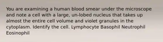 You are examining a human blood smear under the microscope and note a cell with a large, un-lobed nucleus that takes up almost the entire cell volume and violet granules in the cytoplasm. Identify the cell. Lymphocyte Basophil Neutrophil Eosinophil