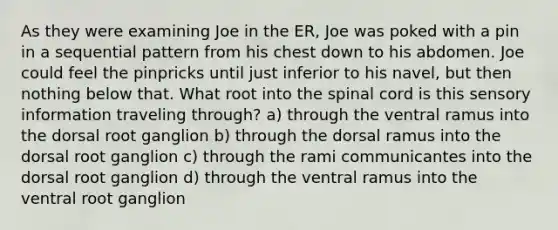 As they were examining Joe in the ER, Joe was poked with a pin in a sequential pattern from his chest down to his abdomen. Joe could feel the pinpricks until just inferior to his navel, but then nothing below that. What root into the spinal cord is this sensory information traveling through? a) through the ventral ramus into the dorsal root ganglion b) through the dorsal ramus into the dorsal root ganglion c) through the rami communicantes into the dorsal root ganglion d) through the ventral ramus into the ventral root ganglion